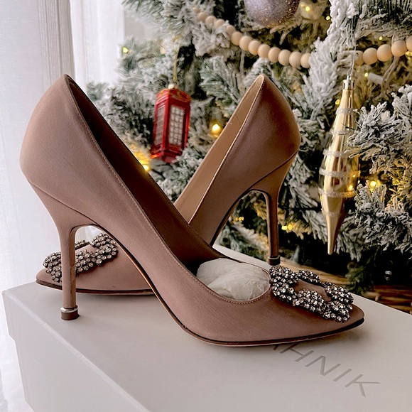Manolo Blahnik Hangisi Pumps - Picture 3 of 10